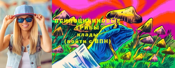 гидропоника Лабытнанги