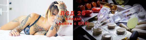 spice Ладушкин