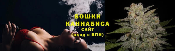 spice Ладушкин