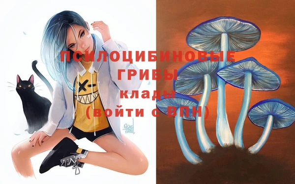 не бодяженный Лагань
