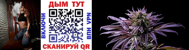 Купить закладки  Козьмодемьянск  Каннабис SATIVA & INDICA 
